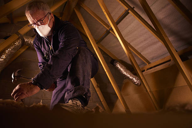 Best Specialized Insulation Services in Cotati, CA