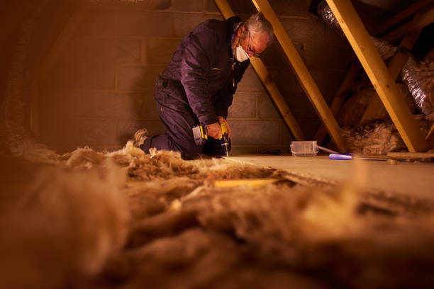 Best Fiberglass Insulation in Cotati, CA